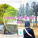 [23.03.09] 자매끼리 제주 봄 여행 (맛나식당, 블루보틀제주카페, 아부오름, 광치기해변)