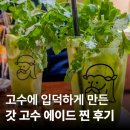 고수 | 갓 고수 에이드 솔직 후기 갓잇 신메뉴 도전기