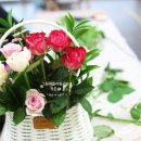 플라워 테라피(A) 이미지