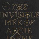 Invisible  이미지