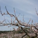 산중문답 이미지
