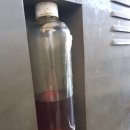 배산오토카 이미지