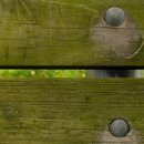 ji(나만의) 이미지