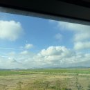 이마트24 화성푸른들판점 | 태안 숙소 후기 | 솔라고 리조트 – 골프장과 조식 뷔페, 그리고 쾌적한 쉼