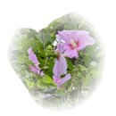 가을이 오면 눈부신 수채화 | 빗속의 낭만 트래킹, 문경 선유동천에서 찾은 진짜 행복