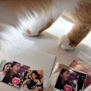 빈빈님의 ＜착한여자부세미＞ 굿즈 나눔 후기!!🥺 이미지