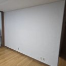 도배하기좋은날
