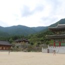 산청에가면 이미지