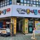 땅파서폰파는집 이미지
