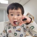 오르케이크 이미지