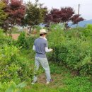 남규농장 이미지