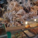 엄지척꽈배기 이미지