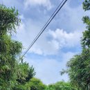 장군태양광발전소1 이미지