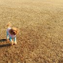 어여가세 이미지