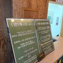 속초해수욕장 근처 반려견동반 속초오션뷰 스파펜션 오션11