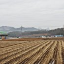 내동산 도는길 이미지