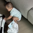 [모모래빗에코씽씽, 여름기저귀] 14개월 아기 여름기저귀 추천