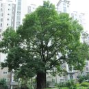 광흥창역 1번 출구 이미지