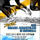 ZOOT 2013 Beach Aquathlon in Kwangalli 이미지