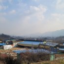 청산생선국수 - 옥천군 | 청산생선국수