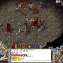 귀돈궁 Daum카페