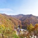 단풍 이미지