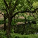 덕동리경로당 이미지