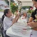 호법 코스모스길 이미지