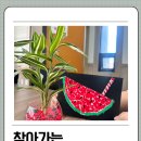 찾아가는 그림책 수업 이미지
