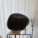 2703 | 대전 미용실에서 만난 다양한 여자 헤어스타일, 루시드헤어 대전둔산점 방문 후기