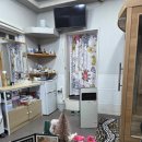 고현로12길 | 거제전신관리 발케어 대만족 후기