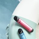 지에스25 동산스타점 | 편의점 전자담배 순위? 일회용 전담 종류 CU·GS25 버블몬 블루라군·루나스타 후기