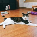 동진세탁소 이미지