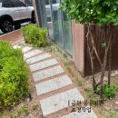 (원데이) 그린 플랜트 이미지