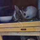 비치힐 뷰 이미지