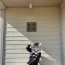 송당 온도 이미지