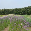 (주)태화전력 이미지