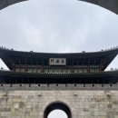 수원 행궁동 탐방 1탄! (행궁애, 달빛행궁, 뮤니버스 후기)(●ˇ∀ˇ●)