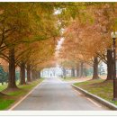 연암농장2 이미지