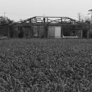 일과1리 이미지