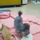 굿모닝샐리 이미지