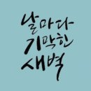 믿고사는사람들 이미지
