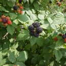 만경농장1 이미지