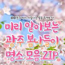 각화제(각화저수지) | [빛깔정보] 광주봄나들이명소 추천 6