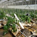 웅촌농장 이미지