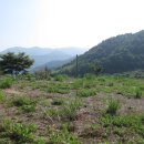 하동군 청암면 계곡을 접한 전원주택지 2480㎡ 3억2천 이미지