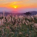 대기농촌체험휴양마을 이미지