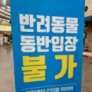 팔레스장여관 | [수원] 광교 2025 메가쇼 팔도밥상페어 홈술상점 오픈런 후기 + 주차안내