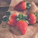 협동조합 빅샌 이미지