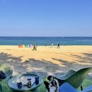 바다정원 이미지